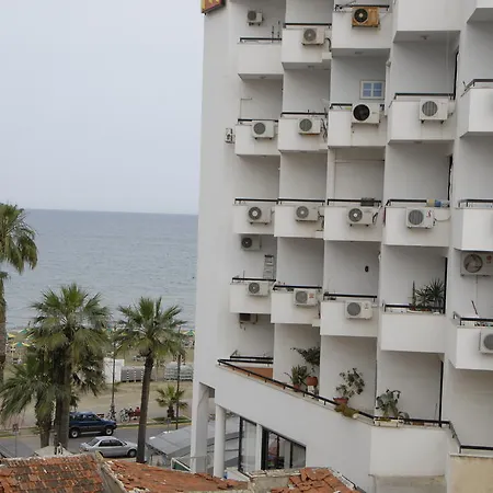 Palm Sea 2