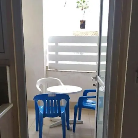 Palm Sea 2